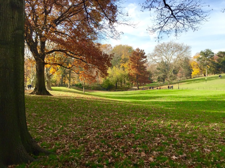 Photo Nov 26, 10 28 35 AM